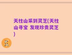 天柱山采到灵芝(天柱山寻宝 发现珍贵灵芝)