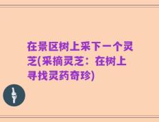 在景区树上采下一个灵芝(采摘灵芝：在树上寻找灵药奇珍)