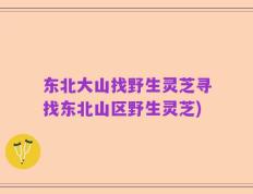 东北大山找野生灵芝寻找东北山区野生灵芝)
