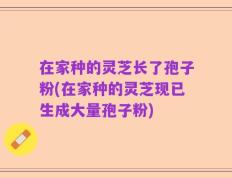 在家种的灵芝长了孢子粉(在家种的灵芝现已生成大量孢子粉)