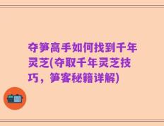 夺笋高手如何找到千年灵芝(夺取千年灵芝技巧，笋客秘籍详解)