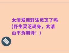 太清发现野生灵芝了吗(野生灵芝现身，太清山不负期待！)