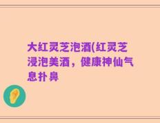 大红灵芝泡酒(红灵芝浸泡美酒，健康神仙气息扑鼻
