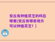 安丘有种植灵芝的吗在哪里(安丘有哪些地方可以种植灵芝？)