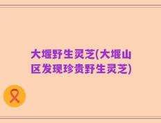 大堰野生灵芝(大堰山区发现珍贵野生灵芝)