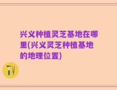 兴义种植灵芝基地在哪里(兴义灵芝种植基地的地理位置)
