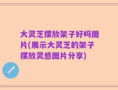 大灵芝摆放架子好吗图片(展示大灵芝的架子摆放灵感图片分享)