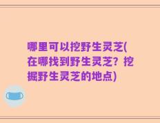 哪里可以挖野生灵芝(在哪找到野生灵芝？挖掘野生灵芝的地点)