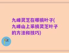 九峰灵芝在哪摘叶子(九峰山上采摘灵芝叶子的方法和技巧)
