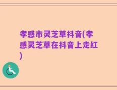 孝感市灵芝草抖音(孝感灵芝草在抖音上走红)