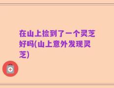 在山上捡到了一个灵芝好吗(山上意外发现灵芝)