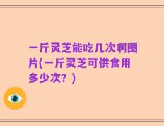 一斤灵芝能吃几次啊图片(一斤灵芝可供食用多少次？)