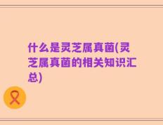 什么是灵芝属真菌(灵芝属真菌的相关知识汇总)