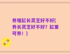 养殖缸长灵芝好不好(养长灵芝好不好？缸里可养！)