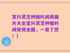 宜兴灵芝种植时间表图片大全宜兴灵芝种植时间安排全图，一目了然！)