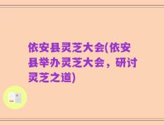 依安县灵芝大会(依安县举办灵芝大会，研讨灵芝之道)