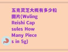 五克灵芝大概有多少粒图片(Wuling Reishi Capsules How Many Pieces in 5g)