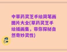 中草药灵芝手绘简笔画图片大全(草药灵芝手绘插画集，带你探秘自然奇妙灵性)