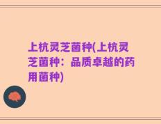 上杭灵芝菌种(上杭灵芝菌种：品质卓越的药用菌种)