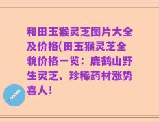 和田玉猴灵芝图片大全及价格(田玉猴灵芝全貌价格一览：鹿鹤山野生灵芝、珍稀药材涨势喜人！