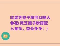 吃灵芝孢子粉可以喝人参花(灵芝孢子粉搭配人参花，益处多多！)