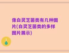 像白灵芝菌类有几种图片(白灵芝菌类的多样图片展示)