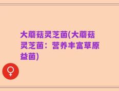大蘑菇灵芝菌(大蘑菇灵芝菌：营养丰富草原益菌)