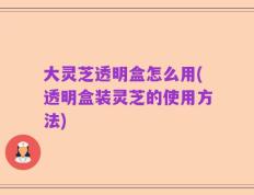 大灵芝透明盒怎么用(透明盒装灵芝的使用方法)