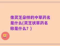 像灵芝朵样的中草药名是什么(灵芝状草药名称是什么？)