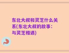 东北大叔和灵芝什么关系(东北大叔的故事：与灵芝相遇)