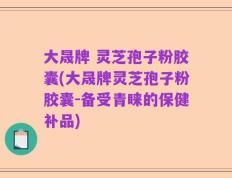 大晟牌 灵芝孢子粉胶囊(大晟牌灵芝孢子粉胶囊-备受青睐的保健补品)