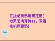 五指毛桃熟地灵芝汤(地灵芝汤开鲜口，五指毛桃颗颗熟)