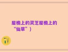 屋檐上的灵芝屋檐上的“仙草”)