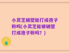 小灵芝破壁能打成孢子粉吗(小灵芝能被破壁打成孢子粉吗？)