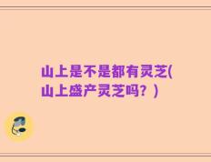 山上是不是都有灵芝(山上盛产灵芝吗？)
