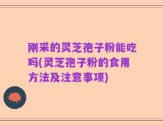 刚采的灵芝孢子粉能吃吗(灵芝孢子粉的食用方法及注意事项)