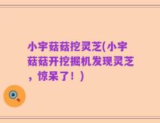 小宇菇菇挖灵芝(小宇菇菇开挖掘机发现灵芝，惊呆了！)