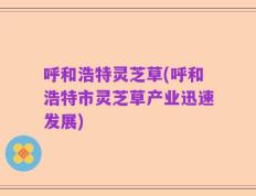 呼和浩特灵芝草(呼和浩特市灵芝草产业迅速发展)