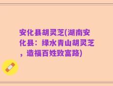 安化县胡灵芝(湖南安化县：绿水青山胡灵芝，造福百姓致富路)