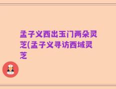 孟子义西出玉门两朵灵芝(孟子义寻访西域灵芝