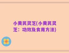 小黄芪灵芝(小黄芪灵芝：功效及食用方法)