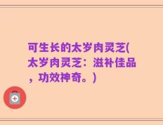 可生长的太岁肉灵芝(太岁肉灵芝：滋补佳品，功效神奇。)
