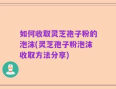 如何收取灵芝孢子粉的泡沫(灵芝孢子粉泡沫收取方法分享)