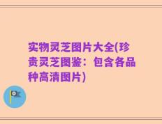 实物灵芝图片大全(珍贵灵芝图鉴：包含各品种高清图片)