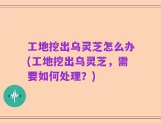 工地挖出乌灵芝怎么办(工地挖出乌灵芝，需要如何处理？)