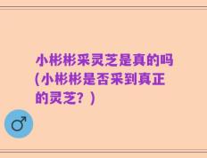 小彬彬采灵芝是真的吗(小彬彬是否采到真正的灵芝？)