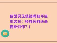 巨型灵芝值钱吗知乎巨型灵芝：稀有药材还是商业炒作？)