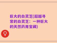 巨大的白灵芝(超越寻常的白灵芝：一种巨大的天然药用宝藏)