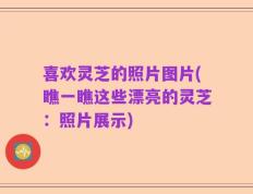喜欢灵芝的照片图片(瞧一瞧这些漂亮的灵芝：照片展示)
