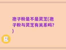 孢子粉是不是灵芝(孢子粉与灵芝有关系吗？)